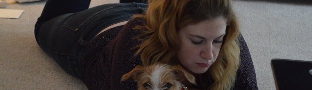 Xmas 2017:
DSC_0004