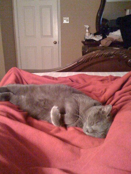katiesleeping1